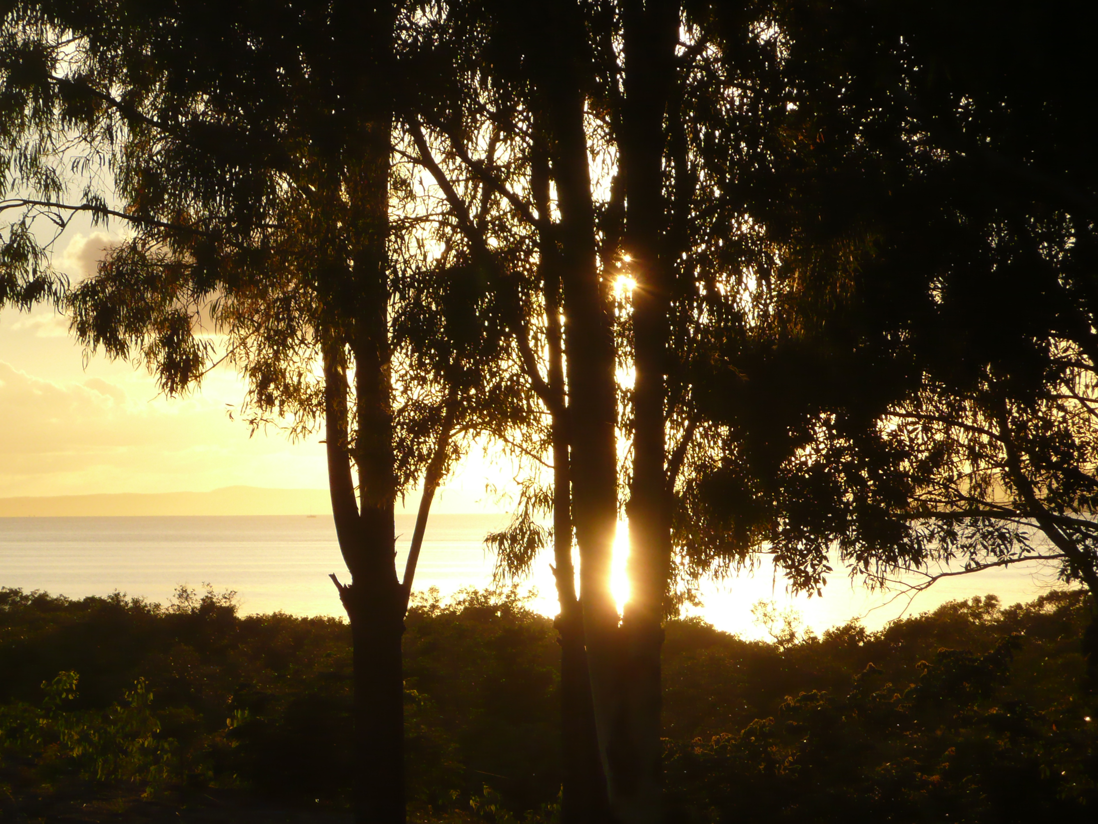 Moreton Bay at Dawn